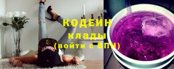 прущие грибы Абаза