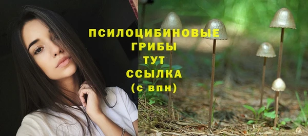 спайс Абинск