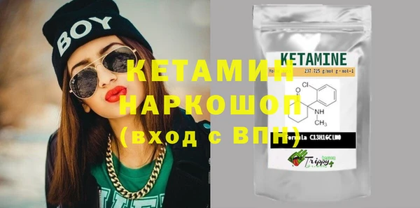 прущие грибы Абаза
