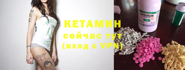 прущие грибы Абаза