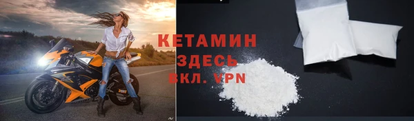 прущие грибы Абаза