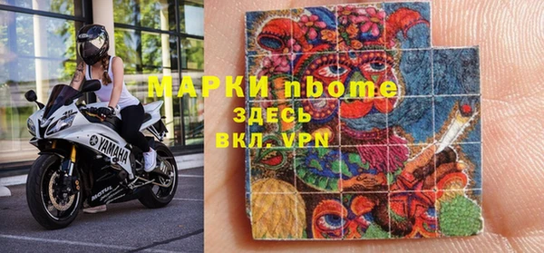 прущие грибы Абаза